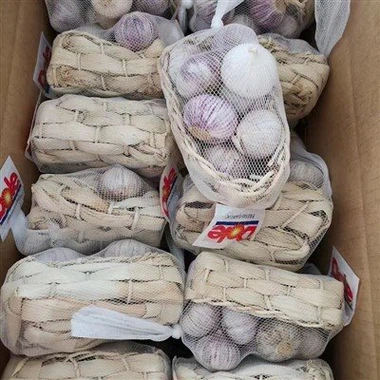 Sol all bulbs